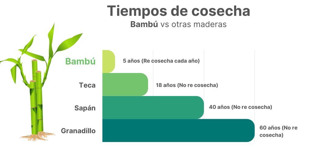 pisos en bambu 3